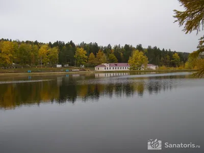 СКК «Дальневосточный», Санаторий «Молоковский»: расположение, медицинский  профиль, инфраструктура, услуги.