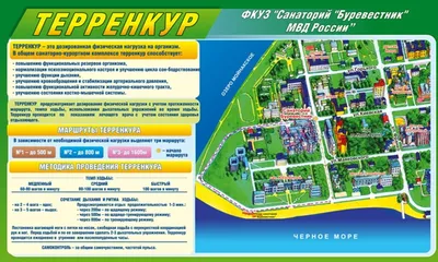 Санаторий Прогресс 3* (Хоста, Россия) - цены, отзывы, фото, бронирование -  ПАКС