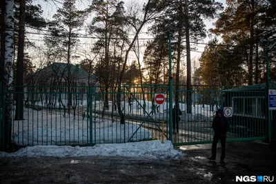 МБУ \"Центр \"Обские зори\" в Новосибирске - фото, отзывы 2023, рейтинг,  телефон и адрес