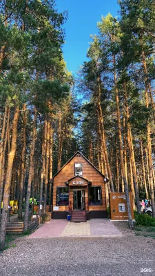 Ольховка, санаторий-профилакторий в Стерлитамаке, ул. Гоголя, 137/19 -  фото, отзывы 2024, рейтинг, телефон и адрес