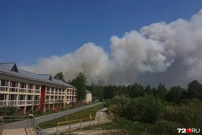 Центр восстановительной медицины и реабилитации Снежинка, база, дом отдыха,  Тюменская область, Тюменский район — Яндекс Карты