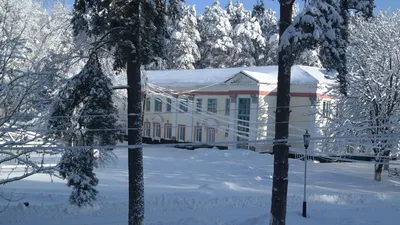 🤗Дорогие друзья! 😊Рады сообщить, что санаторий «Снежка» пополнил линейку  отелей Atelika Hotel.. | ВКонтакте