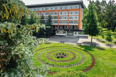 Всё о санатории Солотча в Рязани: важные детали, что предлагает, почему  сюда едут | Отели России 🇷🇺 | Дзен