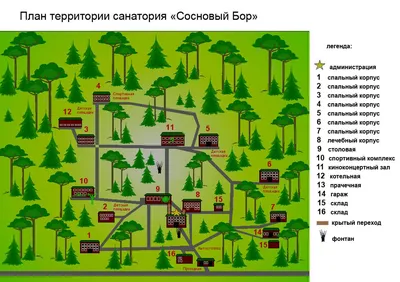 Санаторий \"Сосновый бор\" | Санаторий \"Сосновый Бор\" Татарстан, официальные  цены на путевки 2020, лечение. Забронировать!