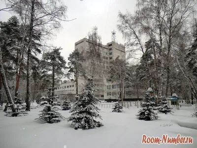 Санаторий \"Светлана\" | Moscow