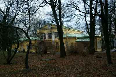 Санаторий трудовые резервы санкт петербург фото фотографии