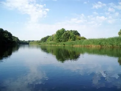 Профсоюзные здравницы \"Воронежского облсовпрофа\" - Воронежский областной  совет профсоюзов