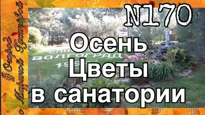 Качалинский санаторий в Качалино (Россия) - отзывы, цены на туры, адрес на  карте.