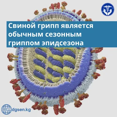 Осторожно ГРИПП! | Улётовская центральная районная больница | Версия для  слабовидящих