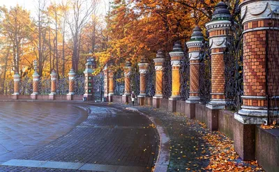 Выставки к Дню города - Научная библиотека им. М. Горького