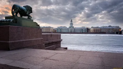 Обои Города Санкт-Петербург, Петергоф (Россия), обои для рабочего стола,  фотографии города, санкт-петербург, петергоф , россия, набережная, санк- петербург, нева, город Обои для рабочего стола, скачать обои картинки  заставки на рабочий стол.