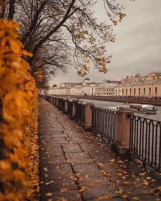 Брянцы смогут посмотреть на золотую осень в Санкт-Петербурге | РИА «Стрела»