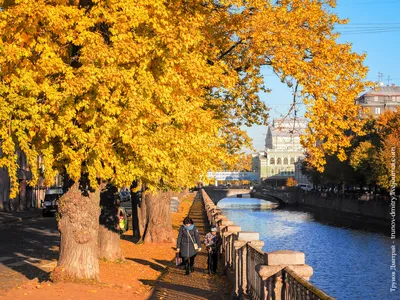 Осенний парк в Санкт-Петербурге | Пикабу