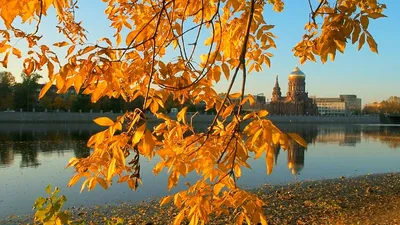 Санкт-Петербург - Золотая осень в парках Петербурга🍂 | Facebook