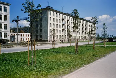 Невский проспект. Санкт-Петербург. …» — создано в Шедевруме