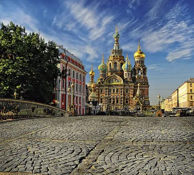 Перспективы развития Петроградского района Санкт-Петербурга