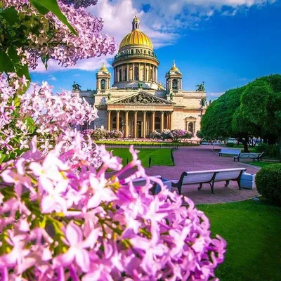 Санкт-Петербург, город, который оживает летом и наполняет вас свежими  эмоциями! - блоги риэлторов | ЦИАН