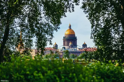 За что я люблю Санкт-Петербург. Какие места посещаю, когда бываю в северной  столице. С 318-летием, город над вольной Невой! | Музыка и путешествия  Николая К | Дзен