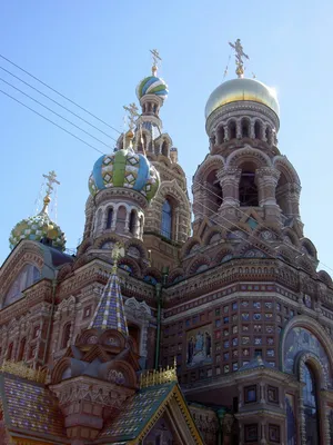 Школьные туры в Санкт-Петербург летом 2024, цены на летние туры | Большая  Страна