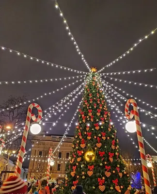 Новый 2025 год в Санкт-Петербурге, отель в самом центре - от Туроператора |  Магнифик Тревел