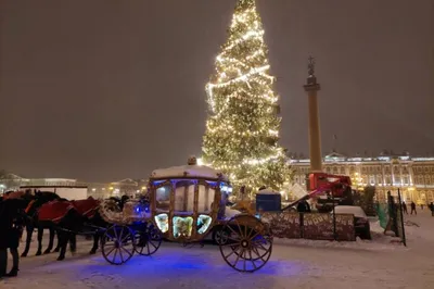 Санкт-Петербург - Волшебный Петербург. Новогодний вид из... | Facebook