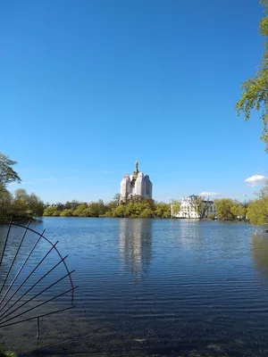 Петергоф Санкт-Петербург, Россия : Нижний парк Редакционное Стоковое Фото -  изображение насчитывающей дворец, грандиозно: 212174203