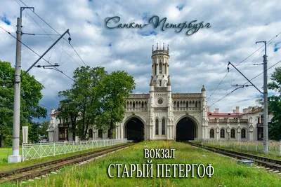 Санкт-Петербург. Петергоф. Царское Село. Павловск. Альбом. 186 цветных  иллюстраций. 2 цветные карты. 300-летию Петербурга посвящается. - купить с  доставкой по выгодным ценам в интернет-магазине OZON (786899577)