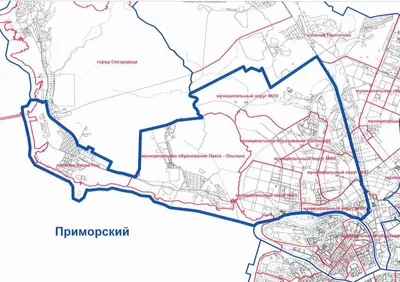 Обзор Приморского района Санкт-Петербурга | Актуально Urbanus о жилой  недвижимости Санкт-Петербурга и Ленобласти