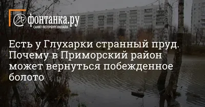 г.Санкт- Петербург.Приморский район. | № 65 (муниципальный округ) |  Фотопланета