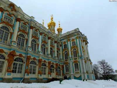 ЖК Александровский - Новостройки в Пушкине от застройщика - официальный сайт