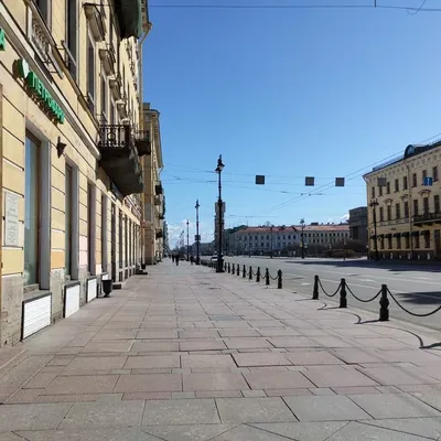 Состоялось заседание Попечительского совета НИУ ВШЭ — Санкт-Петербург —  Новости — НИУ ВШЭ в Санкт-Петербурге — Национальный исследовательский  университет «Высшая школа экономики»