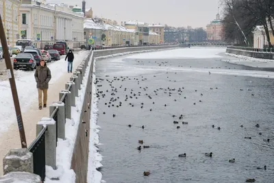 Санкт-петербург сегодня метель …» — создано в Шедевруме