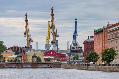 Картину дня рисуем вместе: присылайте свои новости телеканалу «Санкт- Петербург» | Телеканал Санкт-Петербург