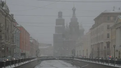 Санкт-петербург сегодня метель …» — создано в Шедевруме