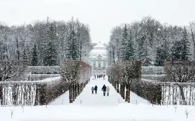 Царское село» заметно подорожает | Туристический бизнес Санкт-Петербурга