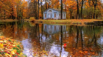 Царское Село — музей-заповедник в городе Пушкине. (Санкт-Петербург) | Пикабу