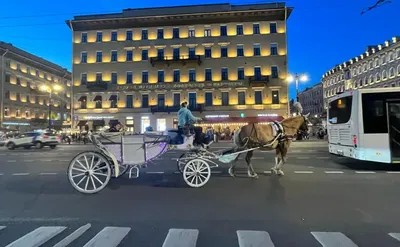 Авиабилеты в Санкт-Петербург из Москвы в апреле-мае за 3000 рублей  туда-обратно! - Чекинтайм