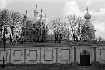 Снег в апреле: последние новости на сегодня, самые свежие сведения |  fontanka.ru - новости Санкт-Петербурга