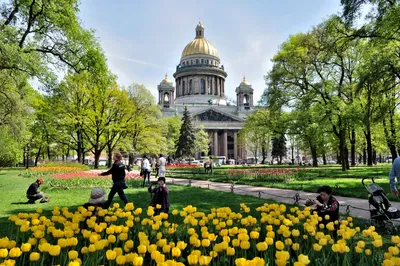 Топ-10 лучших событий на выходные 20 и 21 мая в Санкт-Петербурге