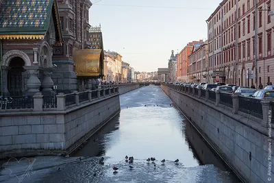 Санкт петербург в марте фото фотографии