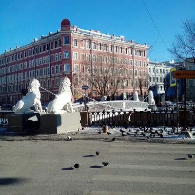 8 марта в средневековой сказке (Санкт-Петербург – Ораниенбаум – Кронштадт –  Выборг - город викингов Сваргас, 3 дня + ж/д) - Туры в Санкт-Петербург