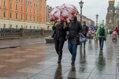 Погода на выходные 16 и 17 октября 2021 года в Санкт-Петербурге: Резкого  похолодания не будет, но зонтик пригодится - KP.RU