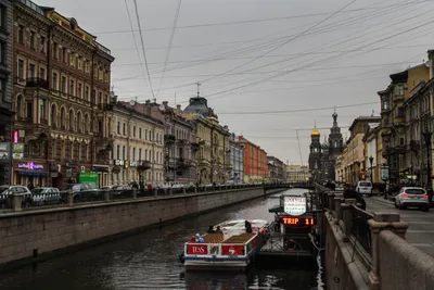 Третий кассационный суд ОЮ (Санкт-Петербург, 8 октября 2019 года) —  Верховный Суд Российской Федерации