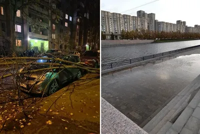 Наши туристы на экскурсии в Екатерининском парке🌳 Ближайшая дата тура в  Санкт-Петербург - 17 октября! Успевайте забронировать ! | Instagram