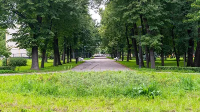 Модный показ «Краски осени» в Санкт-Петербурге - новости «Четыре Лапы».  12.10.2023