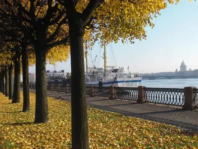 25.10.2023 г. в Санкт-Петербурге состоится очная Школа для пациентов с ХМЛ.