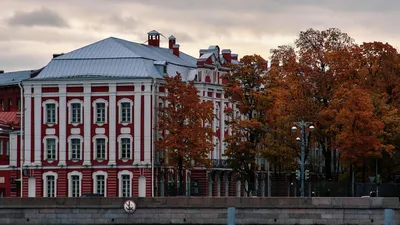 Стрелка Васильевского острова в Санкт-Петербурге | история, архитектурный  ансамбль, фото, как добраться