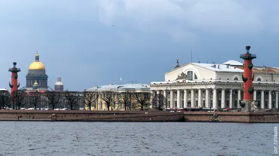 Стрелка Васильевского острова. Фото Петербурга. Фото Санкт-Петербурга