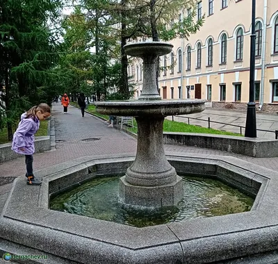 Васильевский остров. От Стрелки по Университетской набережной. Путешествия  по Петербургу. | Павел Бочкарев Путешествуем вместе | Дзен