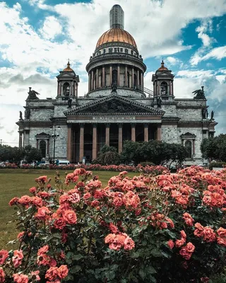 Осень в Санкт-Петербурге | Пикабу